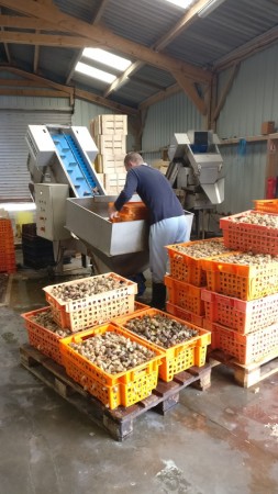 img-20170809-110209__