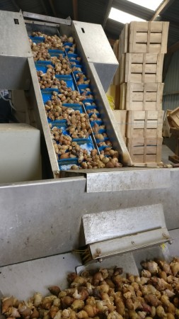 img-20170809-110333__